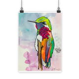 Hummingbird Classic Poster
