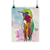 Hummingbird Classic Poster