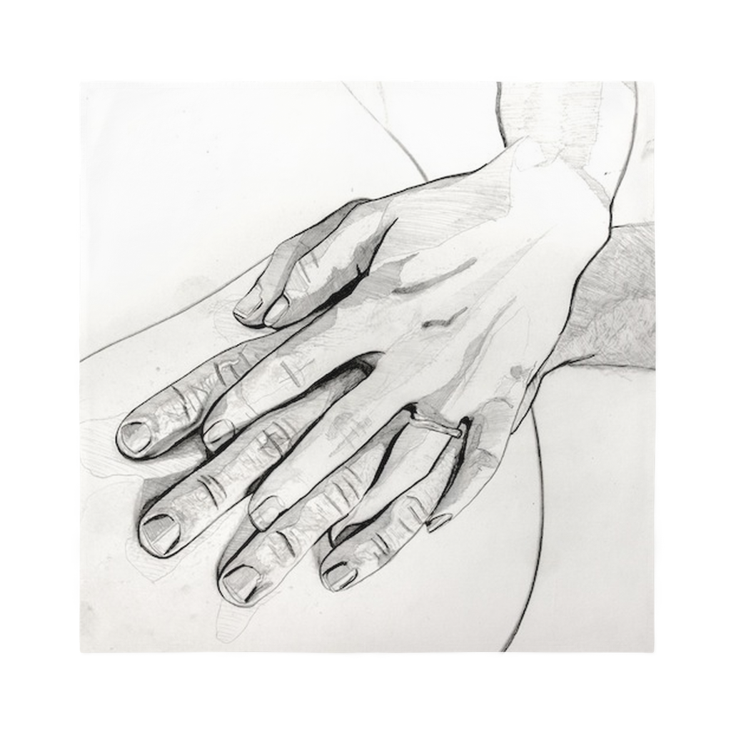 Hands - Scarf - Karen Ann Jones ~ artist