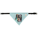 Boxer Pet Bandana