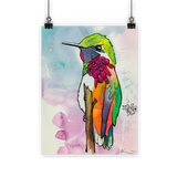 Hummingbird Classic Poster